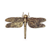 PODUSZKA Z MOTYWEM WAŻKI, Lene Bjerre, Home...