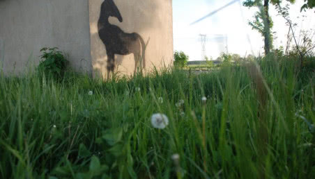 Daniel Rycharski. Street art na wsi