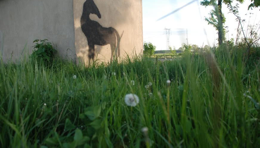 Daniel Rycharski. Street art na wsi