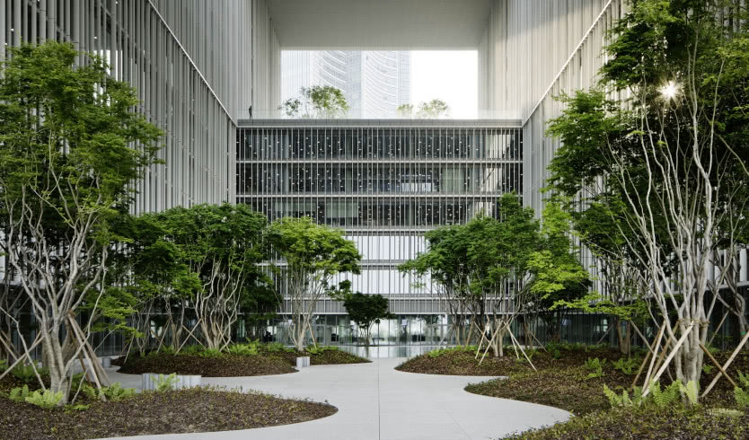 Odkrycia designu - kolekcja baterii Contour autorstwa Pauliny Shacalis