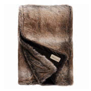 Pled Winter Desertfox