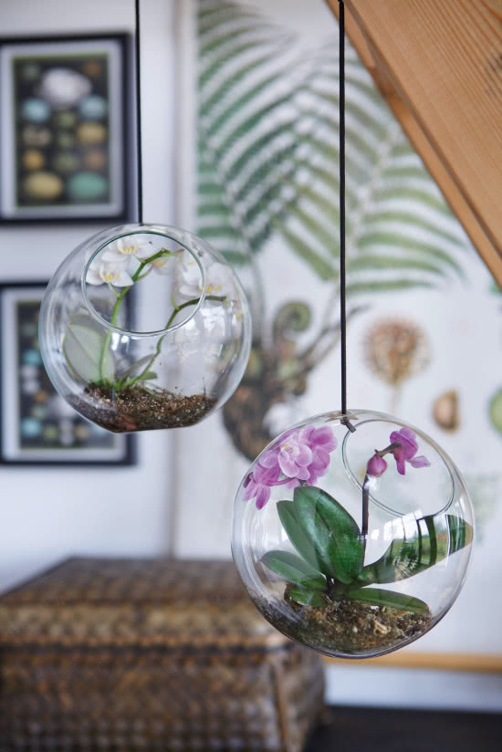 Orchidee to wymarzone kwiaty do szklanych donic