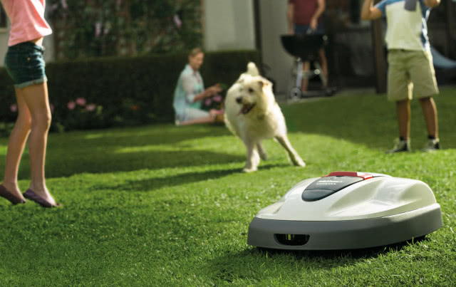 robot koszący, pies, dzieci, Pan stoi przy grillu, trawnik