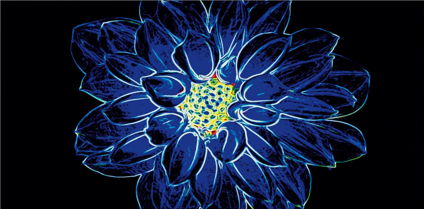 Fluorescencyjny dekor niebieski, wym. 29,7 x 60 cm