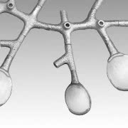 Kolekcja Body Building inspirowana sprzętem...