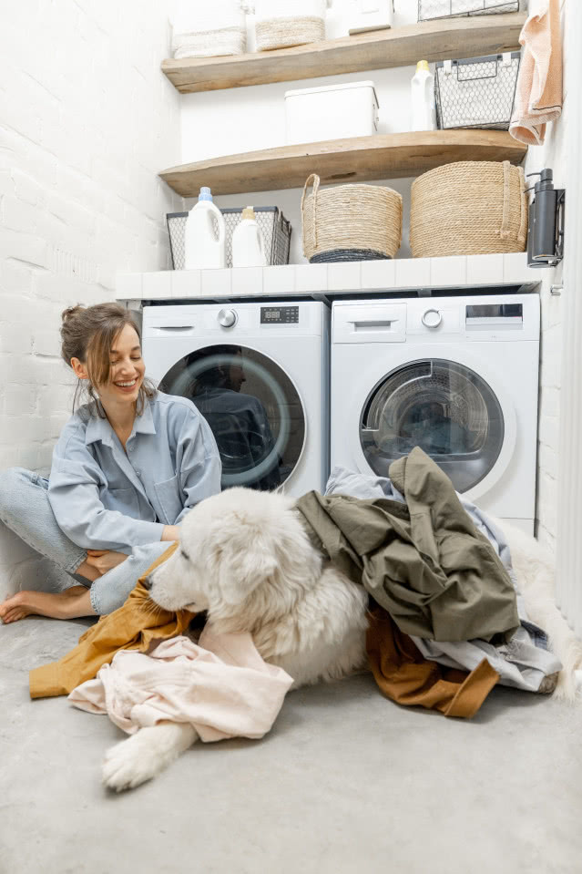 pranie obok pralka i pies rasy golden retriever