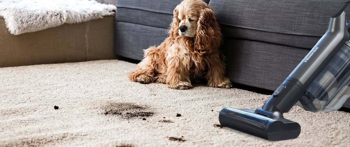 Dom, który lśni czystością - poznaj Hisense Wet & Dry Expert do nowoczesnych wnętrz 