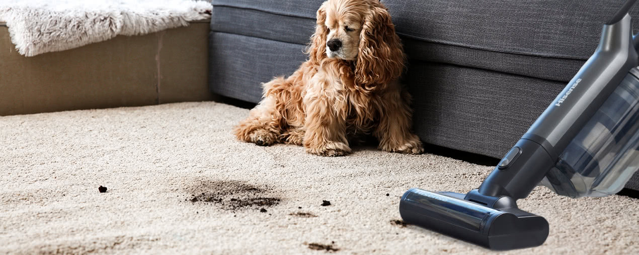 Dom, który lśni czystością - poznaj Hisense Wet & Dry Expert do nowoczesnych wnętrz