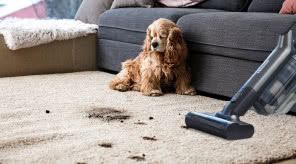 Dom, który lśni czystością - poznaj Hisense Wet & Dry Expert do nowoczesnych wnętrz