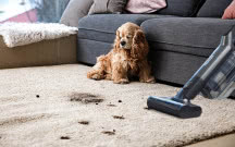 Dom, który lśni czystością - poznaj Hisense Wet & Dry Expert do nowoczesnych wnętrz