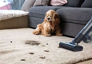 Dom, który lśni czystością - poznaj Hisense Wet & Dry Expert do nowoczesnych wnętrz