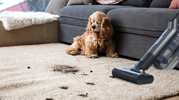 Dom, który lśni czystością - poznaj Hisense Wet & Dry Expert do nowoczesnych wnętrz