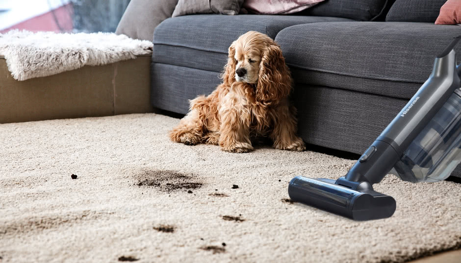 Dom, który lśni czystością - poznaj Hisense Wet & Dry Expert do nowoczesnych wnętrz