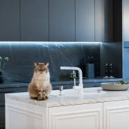 Tak mieszka Hanna Lis! Odwiedzamy stumetrowy apartament na Wilanowie