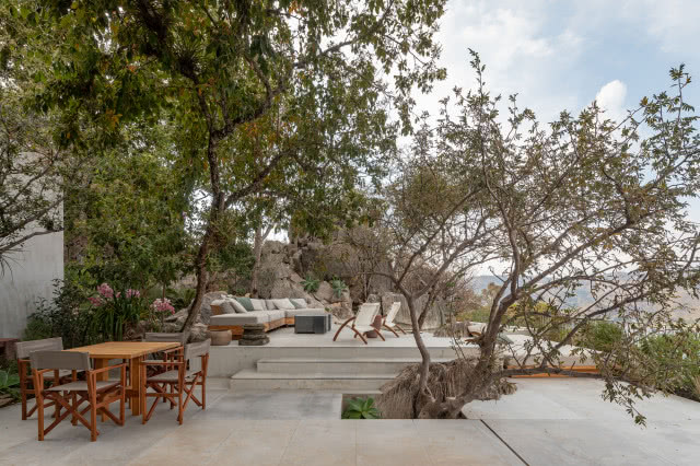 drzewo otoczone kamiennymi płytami 