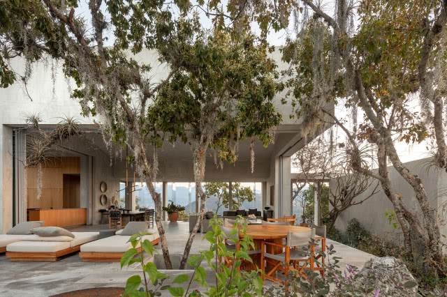 na pierwszym planie drzewa, w tle dom