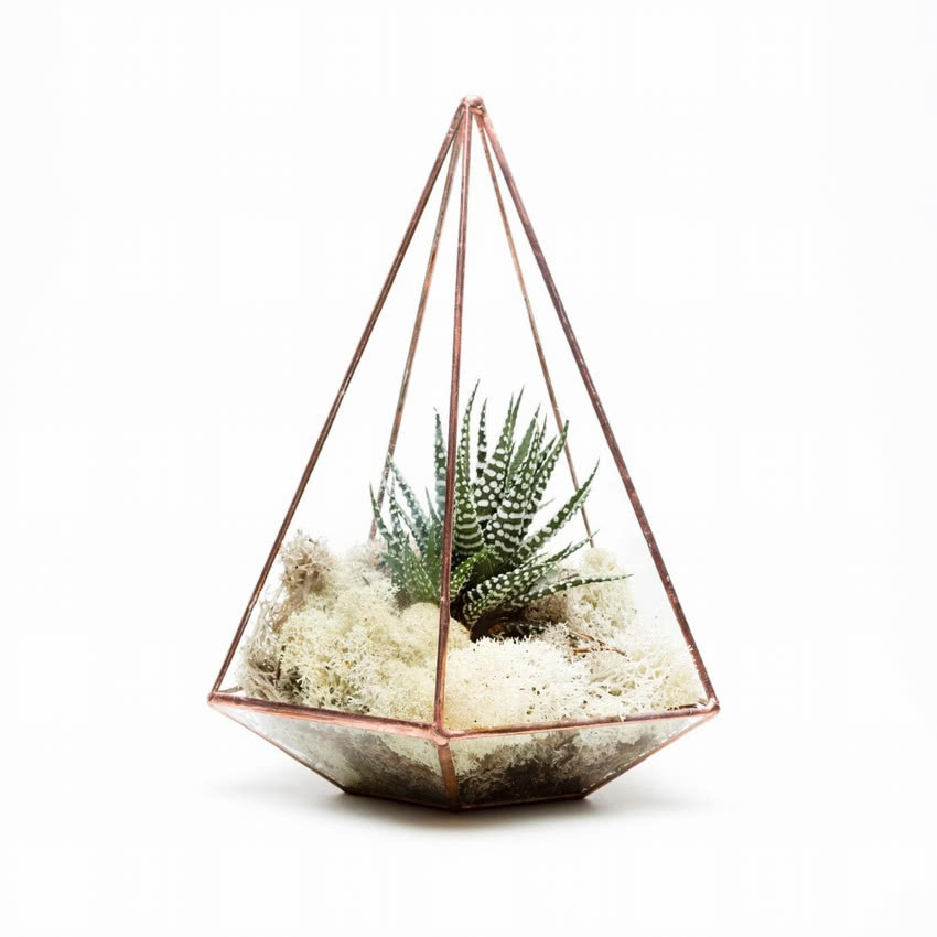 Terrarium z metalu i szkła Jewel, Urban...