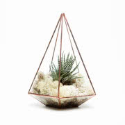 Terrarium z metalu i szkła Jewel, Urban...