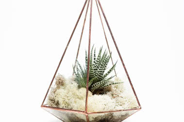 Dodatki do wnętrz inspirowane naturą