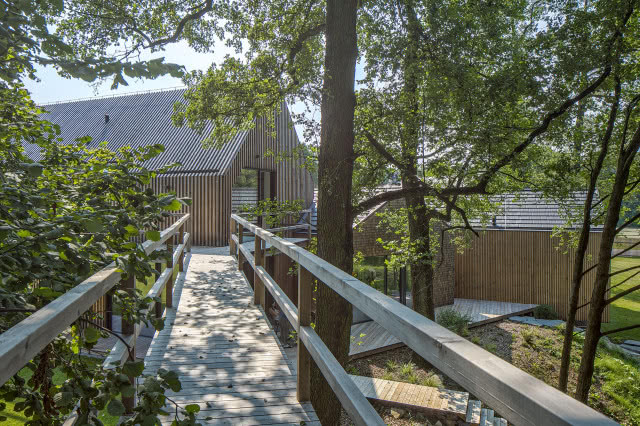 Kładka ze starodrzewem