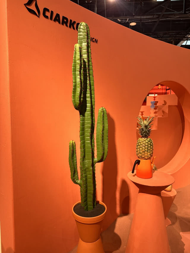 Ciarko - dekoracja stoiska - kaktus