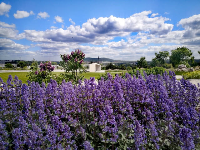 Ogród botaniczny w Kielcach