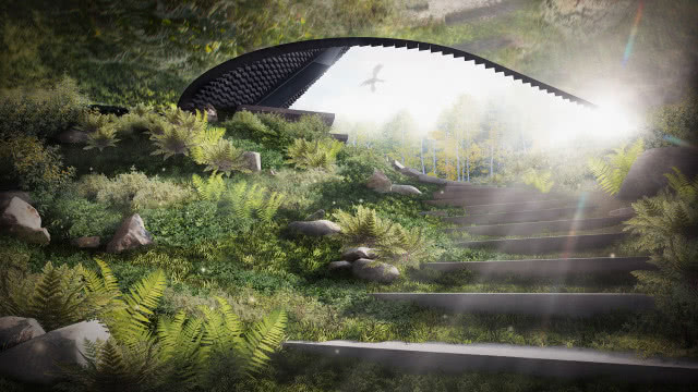 Widok na ogród leśny