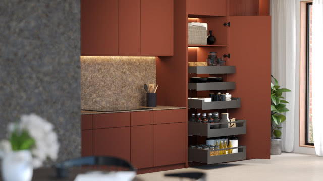 system szuflad wysoki, produkty spożywcze, dzbanki, ręczniki papierowe, płyta indukcyjna, brązowe fronty kuchenne, duży zielony kwiat w doniczce, duże okno, białe firany