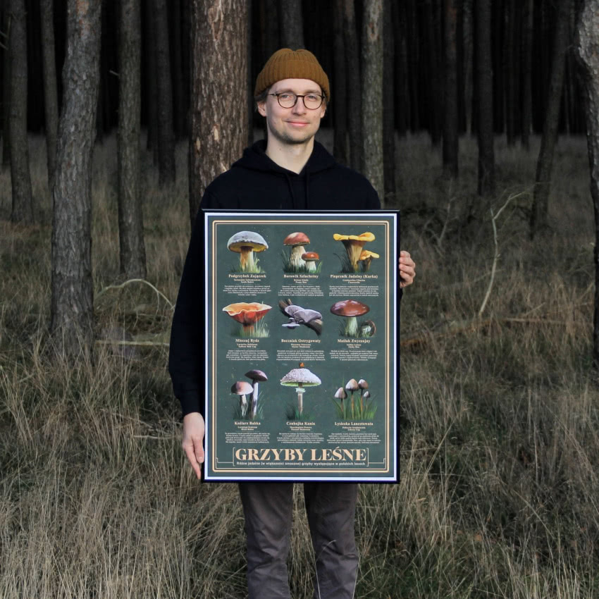 Plakat Grzyby Leśne, Jędrzej Nyka Illustration,...