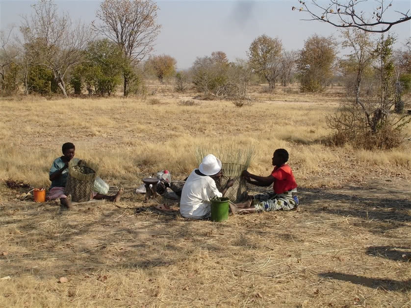 Plecionkarze z Zimbabwe przy pracy