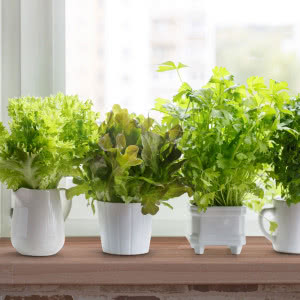 Blat drewniany? Nie tylko w kuchni! Uruchamiamy wyobraźnię, podsuwamy pomysły