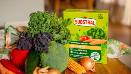 Odkryj moc zeolitu - naturalny sposób na bujne plony i zdrowe rośliny