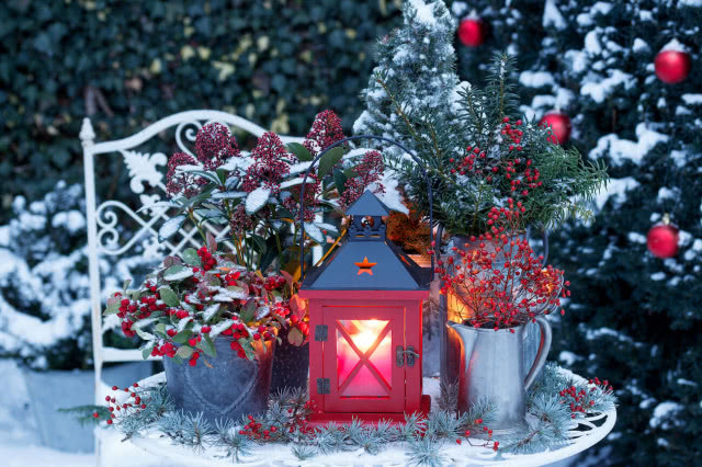 zimowa dekoracja w ogrodzie