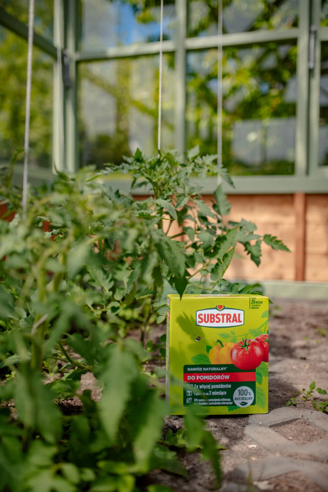nawóz do pomidorów
