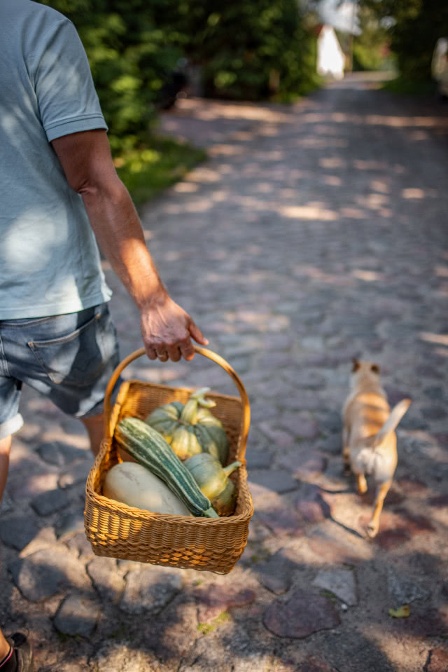 zebrane zdrowe plony