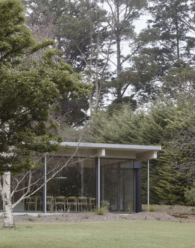 Widok na modernistyczny dom zanurzony wśród drzew.