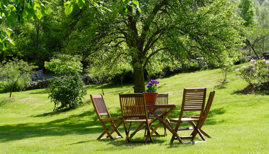 Jak odświeżyć drewno ogrodowe na nowy sezon?