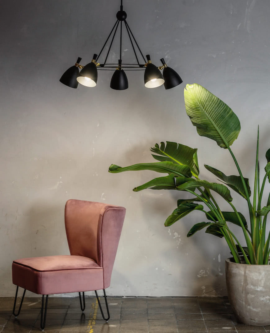 sufitowa Lampa Charlotte, fotel, beton na ścianie, duży kwiat zielony w doniczce