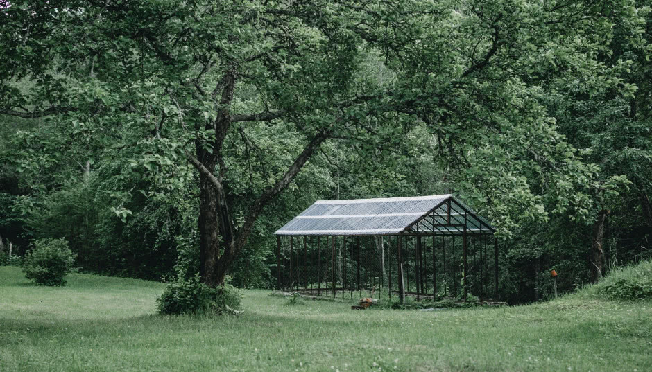 Własna szklarnia w ogrodzie - zobacz najpiękniejsze aranżacje!