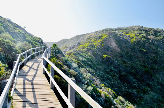 Półwysep Mornington w Australii, na którym znajduje się modernistyczny dom. Tutaj jedna z tras turystycznych - drewniany most wiodący granią wzgórz.