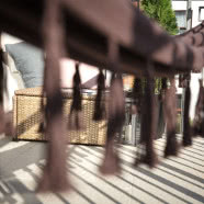 Gdańskie mieszkanie zaprojektowane w zgodzie z naturą