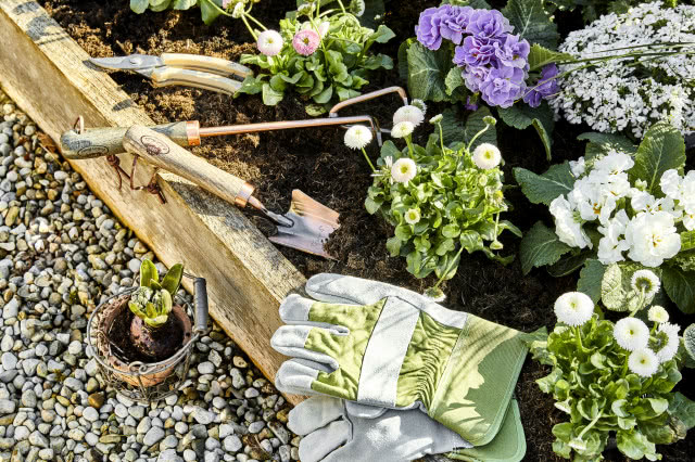 Prace porządkowe w ogrodzie