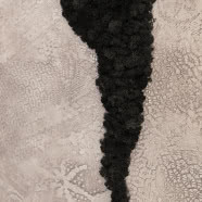 Gdańskie mieszkanie zaprojektowane w zgodzie z naturą