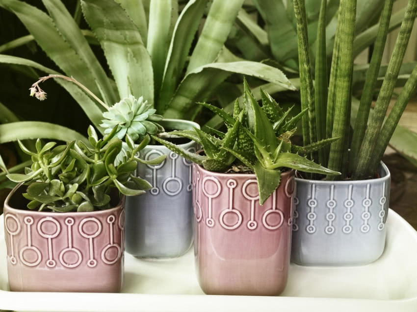 Osłonki na doniczki BLYGSAM dostępne w dwóch...