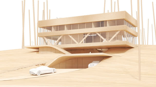 Dom z Grotą - garaż