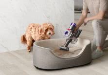 Dyson Car+Boat - Odkurzacz, który oczyszcza każdy zakamarek, niezależnie od miejsca 