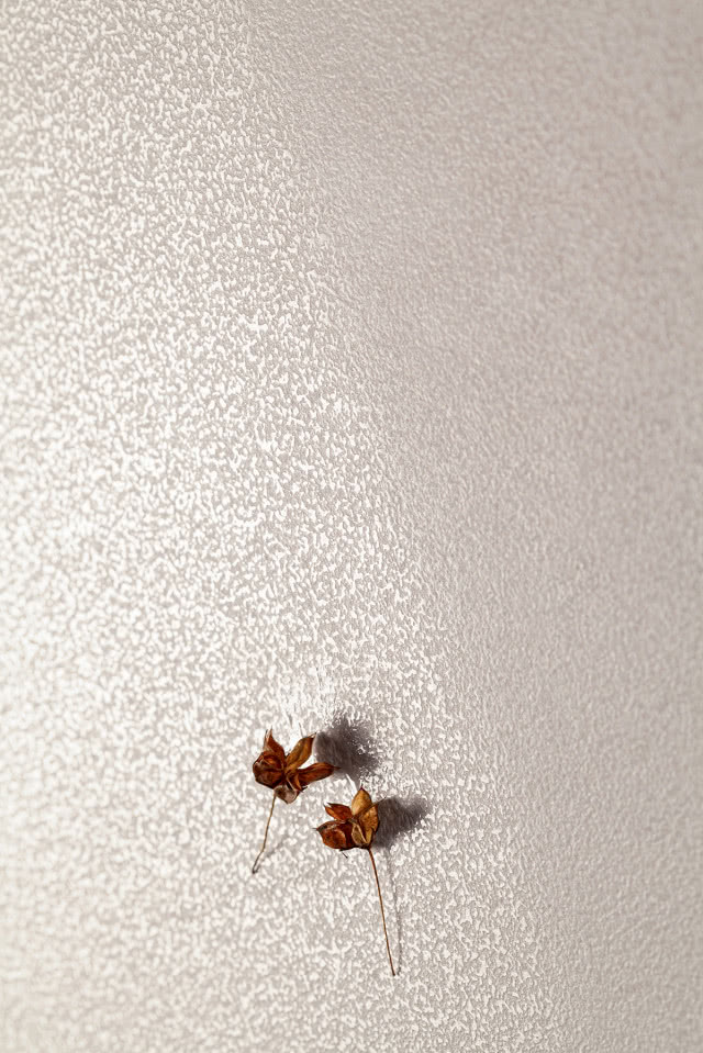 Świetlisty spektakl bieli, który odmienia wnętrza - poznaj kolekcję Albiano od marki Tubądzin