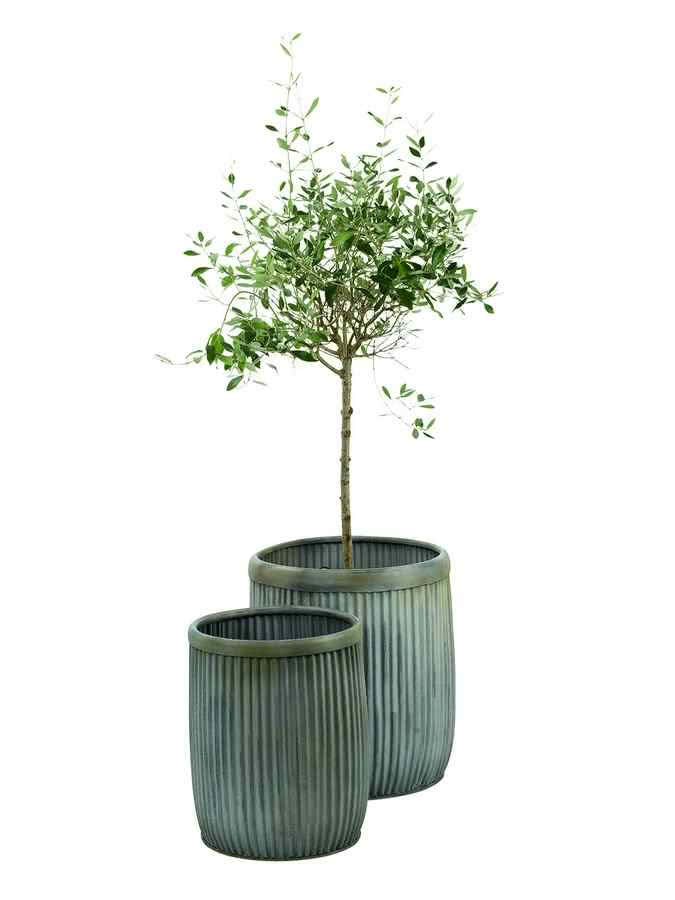 Zestaw dwóch cynkowych doniczek Planter...