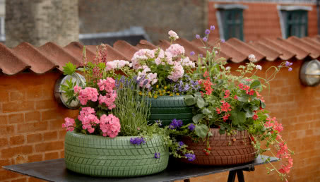 Dekoracje z ciętymi pelargoniami
