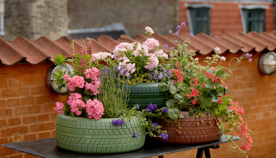 Dekoracje z ciętymi pelargoniami
